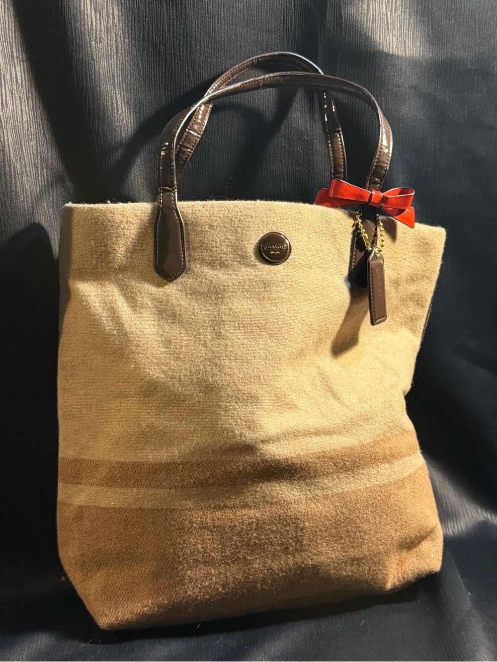 Coach Stripe North South Wool Tote Bag